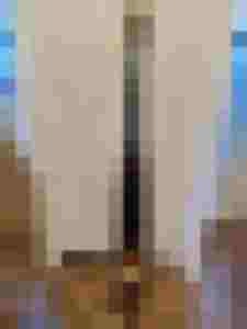 Ein Streichinstrument aus Holz, bereit für die Reparatur und Restauration.