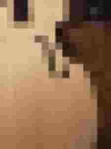 Detailansicht einer Holzoberfläche mit F-Löchern eines Streichinstruments zur Restauration.