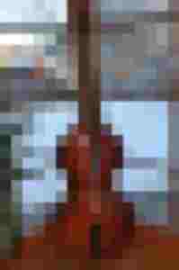 Ein Cello steht vor einem Fenster mit schneebedecktem Ausblick und Pflanzen.